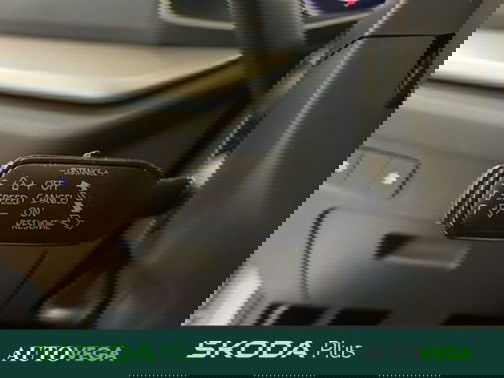 Skoda Octavia Station Wagon usata a Vicenza (16)