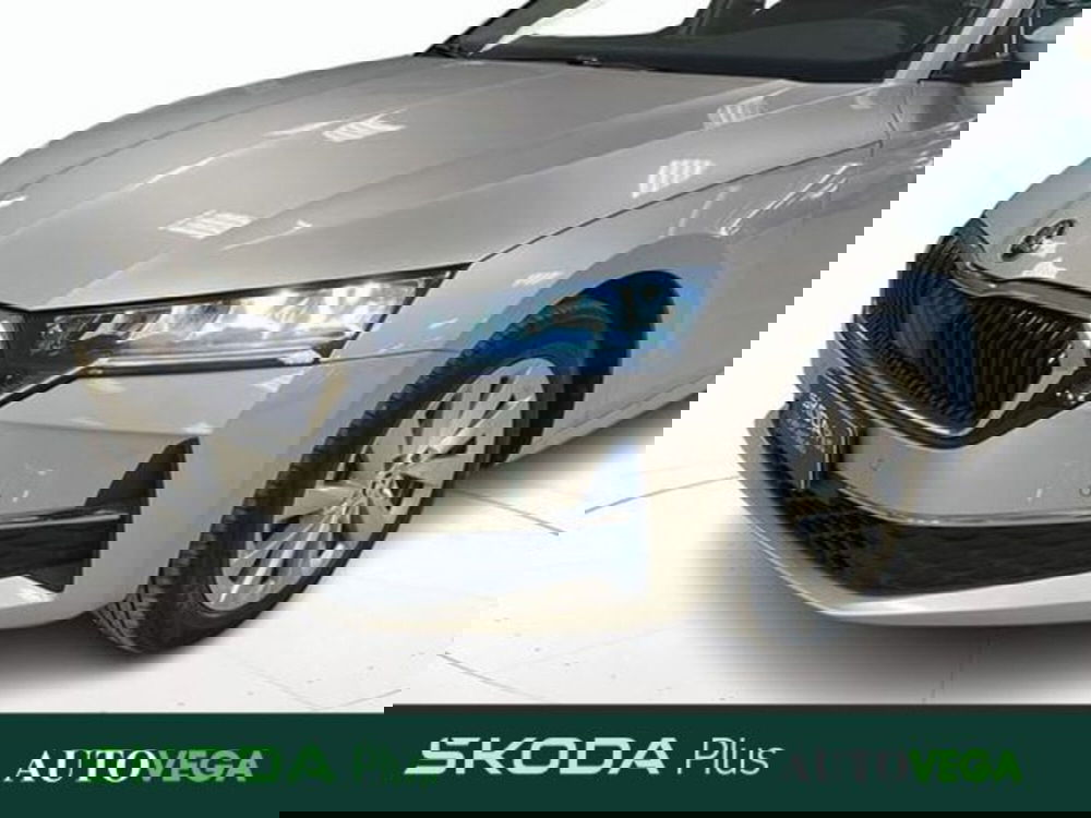 Skoda Octavia Station Wagon usata a Vicenza (20)