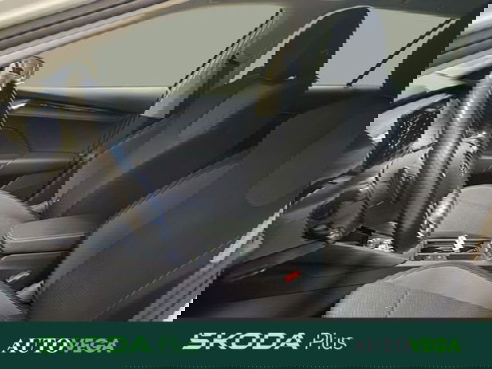 Skoda Octavia Station Wagon usata a Vicenza (13)