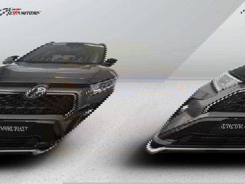 Toyota Rav4 usata a Monza e Brianza (3)