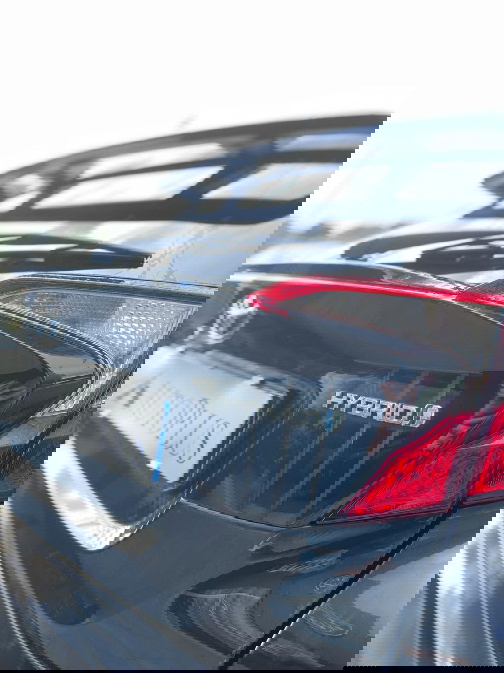 Toyota Toyota C-HR usata a Sassari (16)