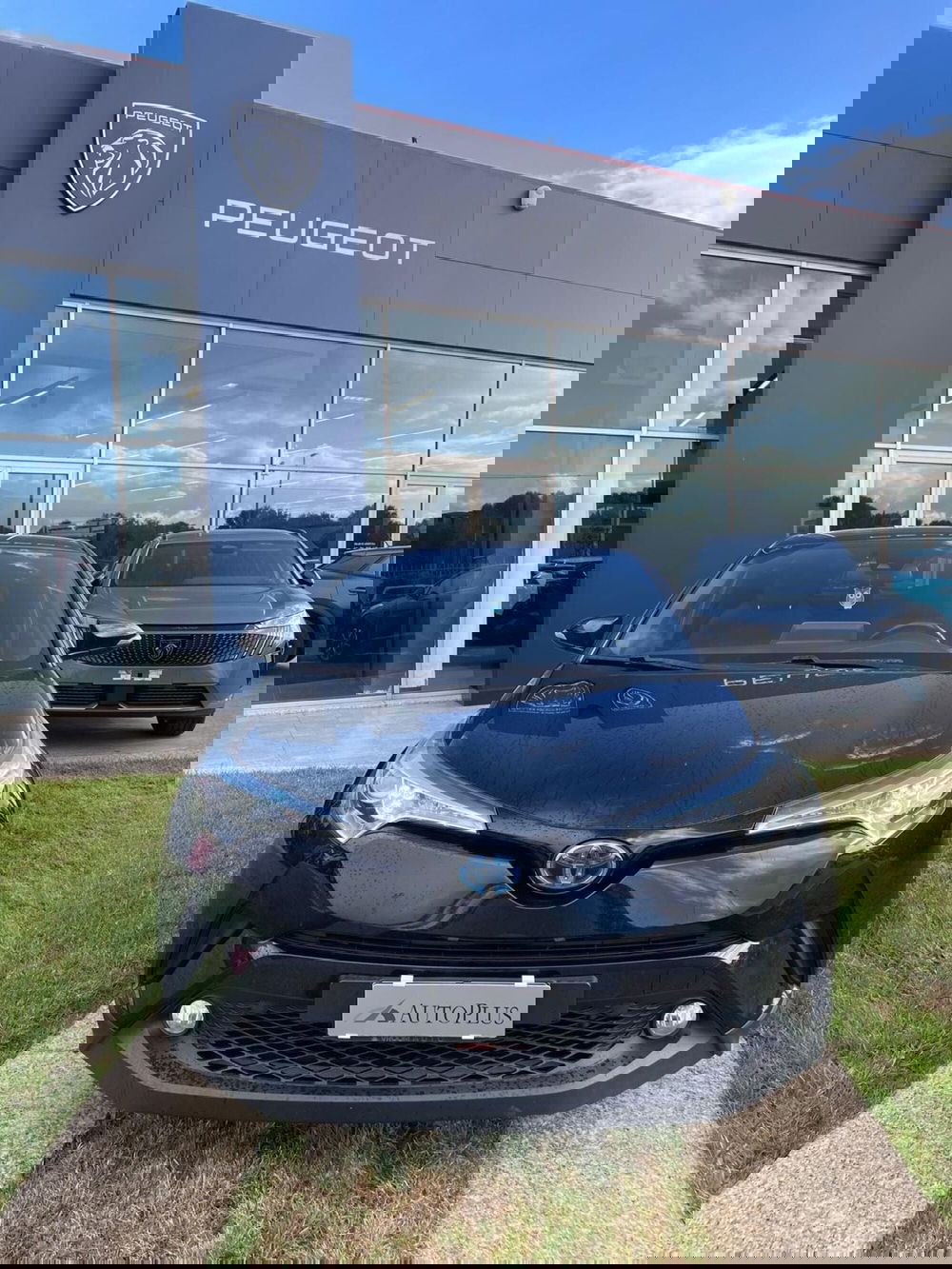 Toyota Toyota C-HR usata a Sassari (4)