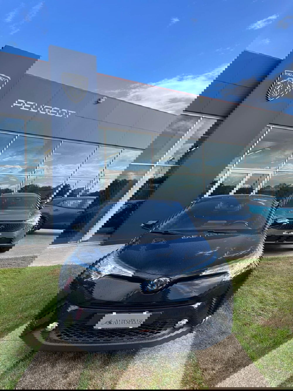 Toyota Toyota C-HR usata a Sassari (5)