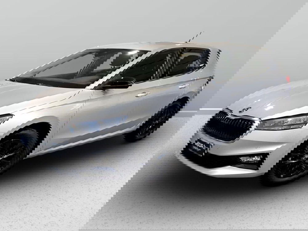 Skoda Fabia usata a Padova