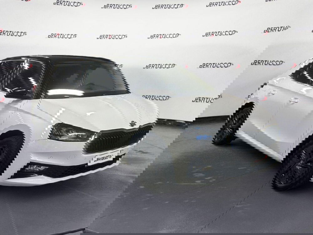 Skoda Fabia usata a Verona