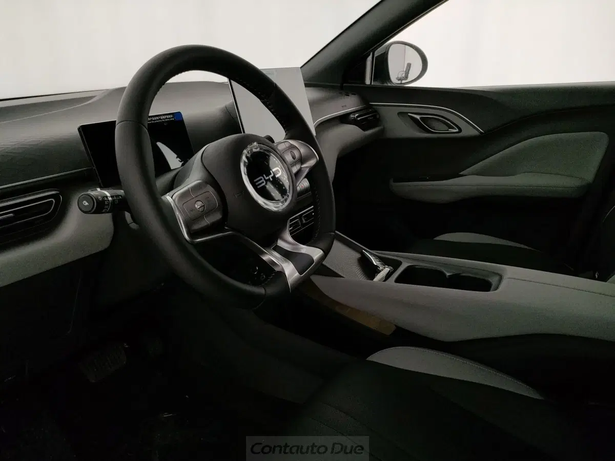 Byd Dolphin Surf nuova a Caserta (19)