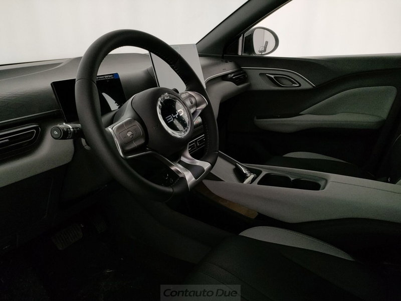 Byd Dolphin Surf nuova a Caserta (19)