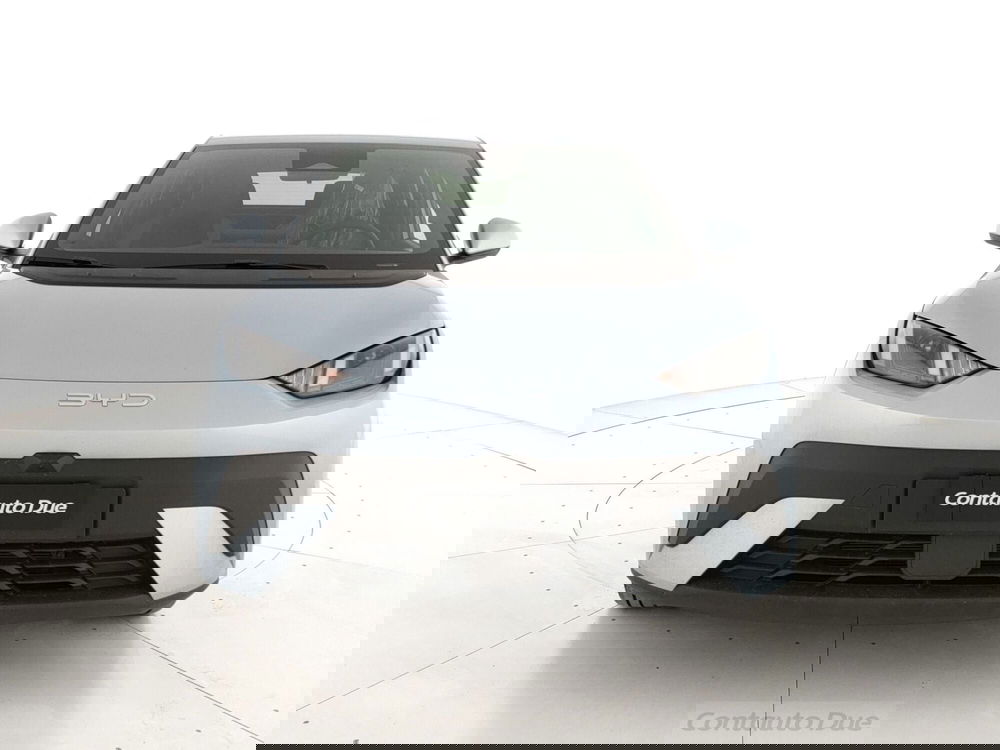 Byd Dolphin Surf nuova a Caserta (2)