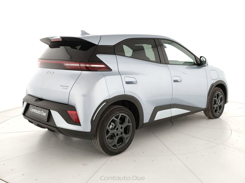 Byd Dolphin Surf nuova a Caserta (5)