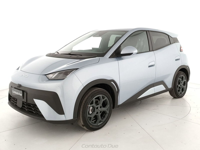 Byd Dolphin Surf nuova a Caserta (8)