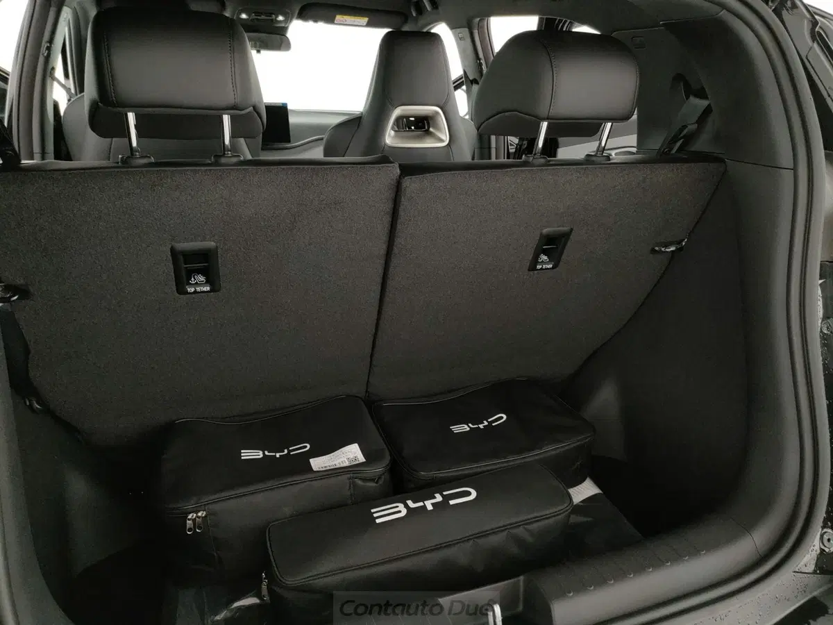 Byd Dolphin Surf nuova a Caserta (9)