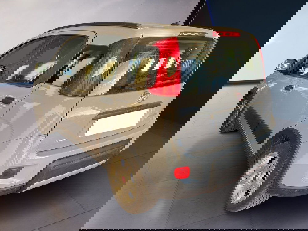 Fiat Panda usata a Torino (4)