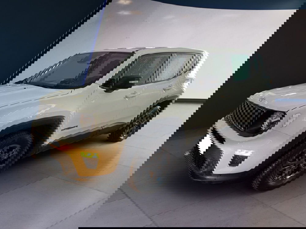 Jeep Renegade usata a Torino (2)