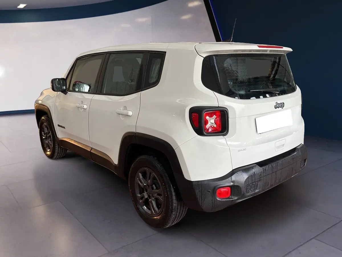 Jeep Renegade usata a Torino (6)