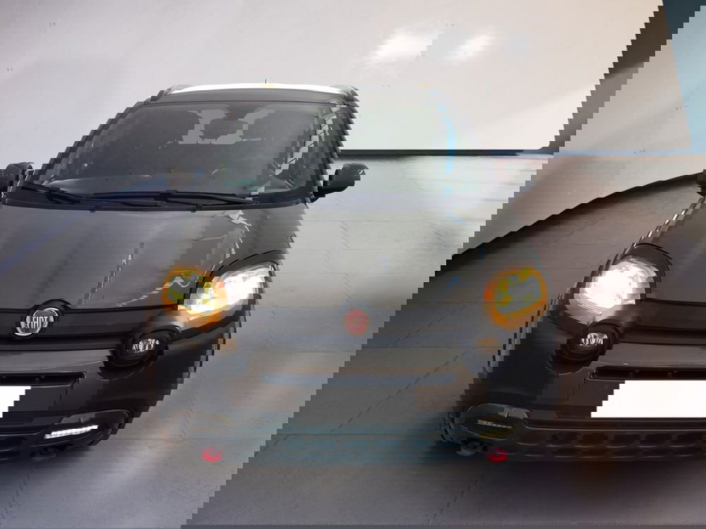 Fiat Panda Cross usata a Torino