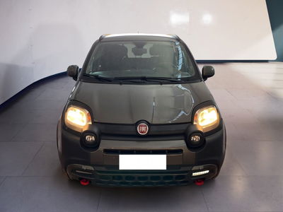 Fiat Panda Cross 1.0 firefly hybrid Cross s&amp;s 70cv 5p.ti del 2023 usata a Torino