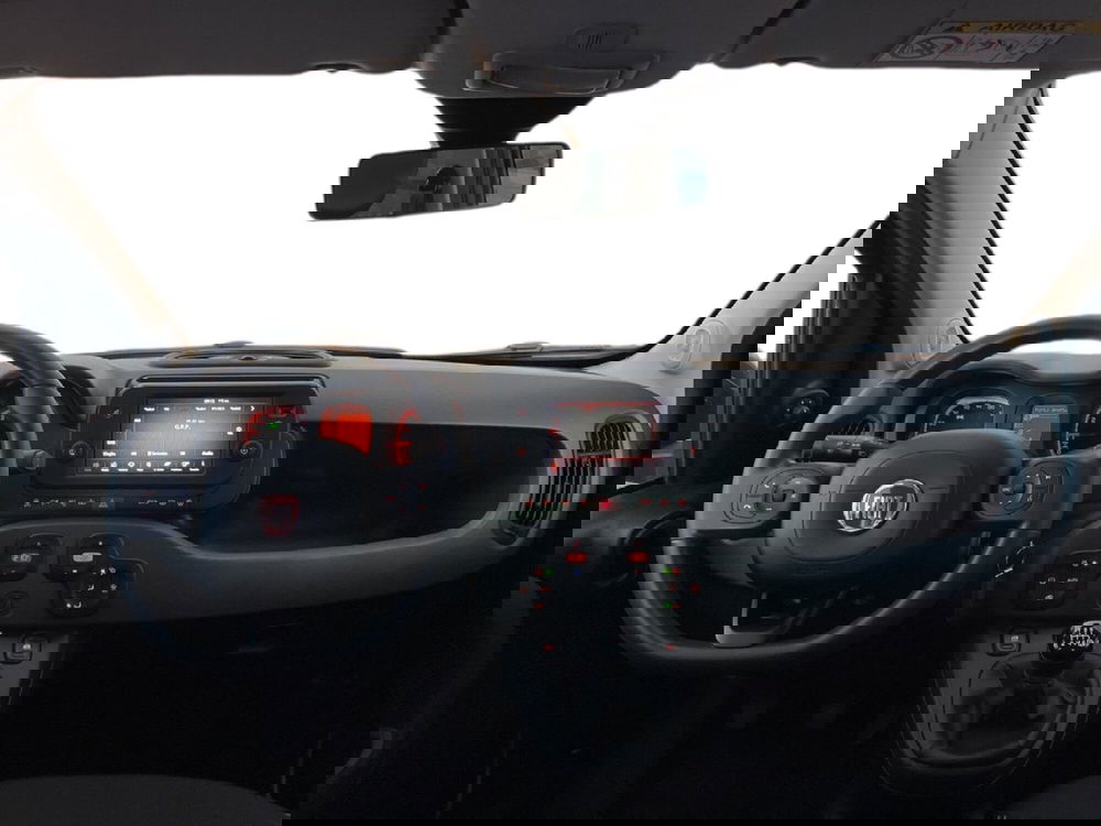 Fiat Panda Cross usata a Torino (11)