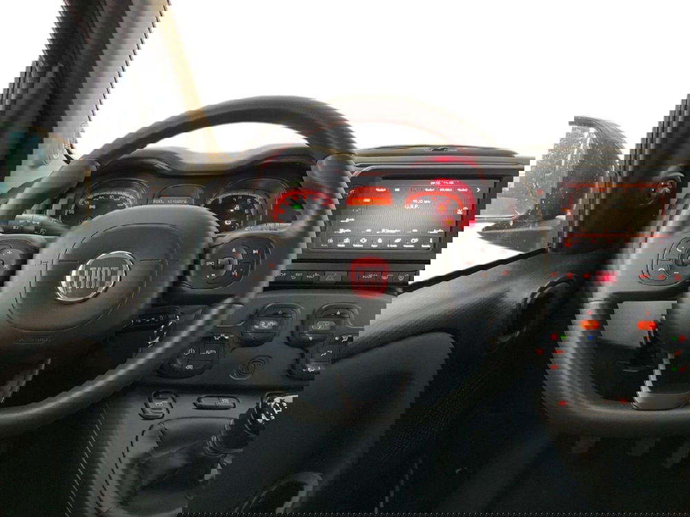 Fiat Panda Cross usata a Torino (12)