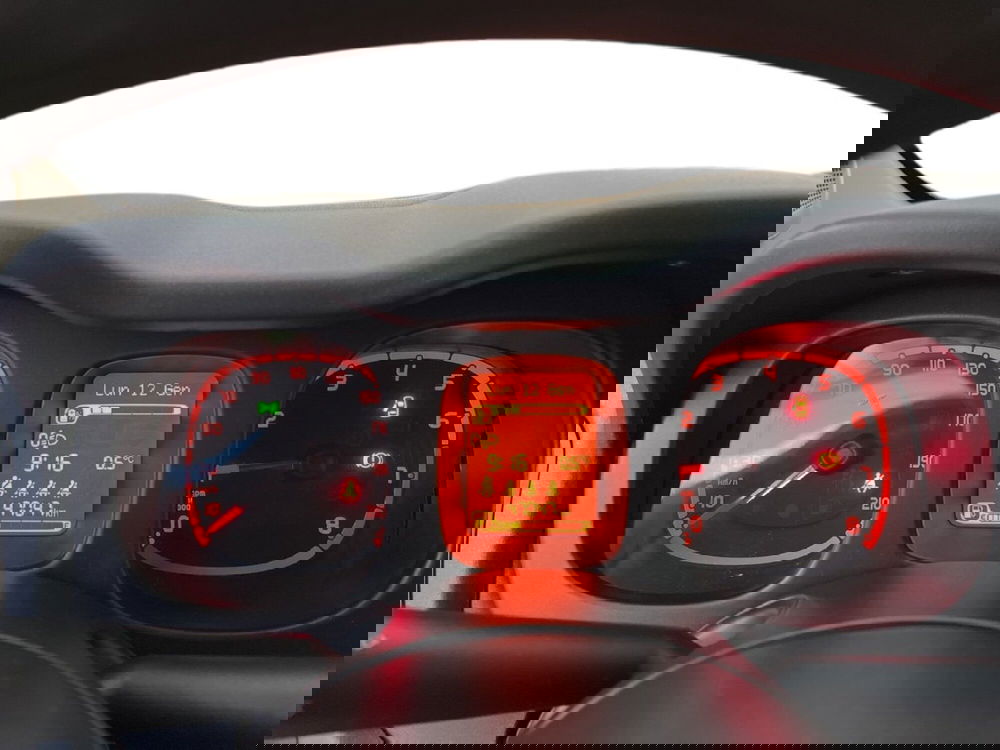 Fiat Panda Cross usata a Torino (15)