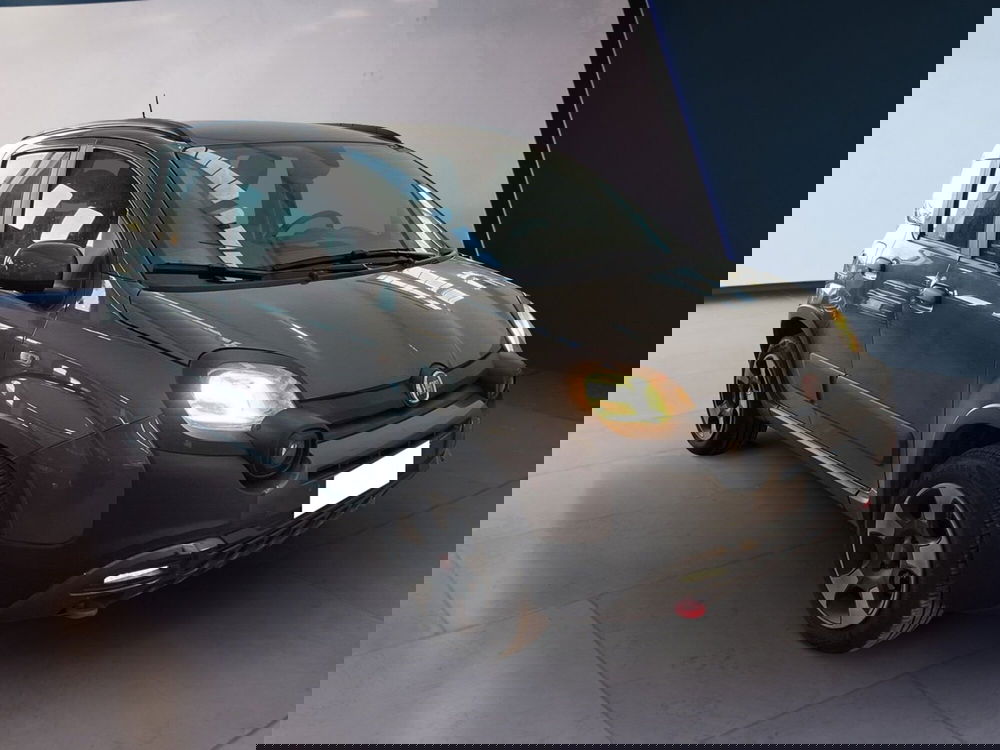 Fiat Panda Cross usata a Torino (2)