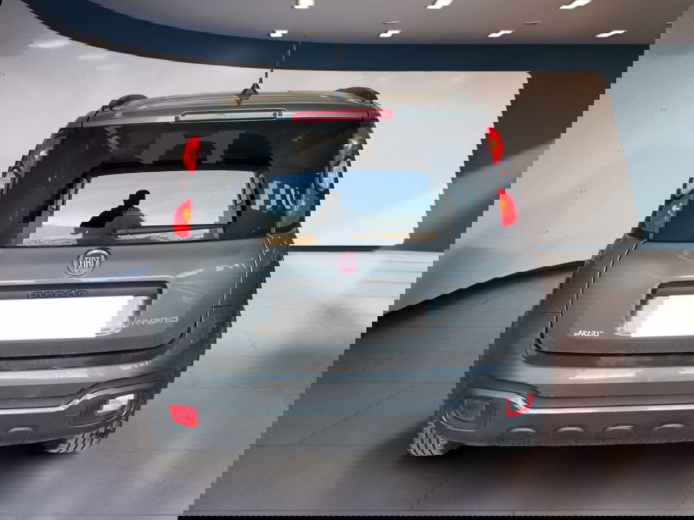 Fiat Panda Cross usata a Torino (5)