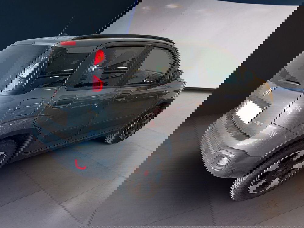 Fiat Panda Cross usata a Torino (6)