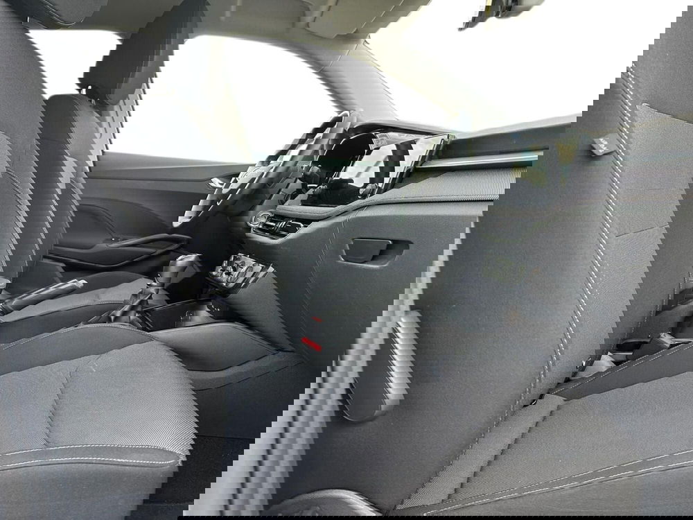 Skoda Fabia usata a Pistoia (13)