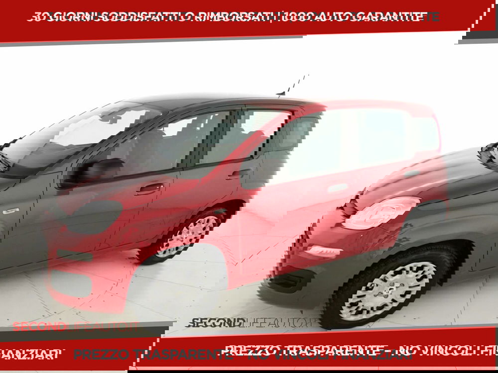 Fiat Panda nuova a Chieti (20)