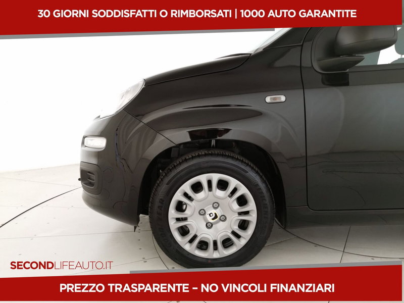 Fiat Panda nuova a Chieti (20)