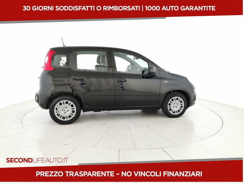Fiat Panda nuova a Chieti (4)