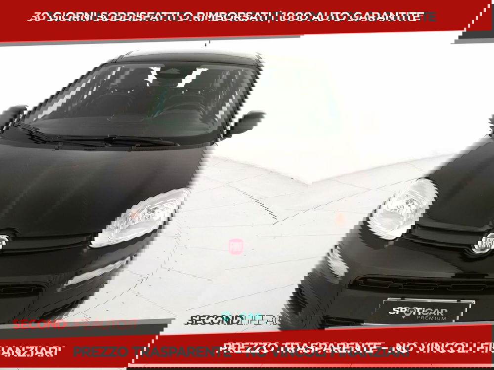 Fiat Panda nuova a Chieti (18)