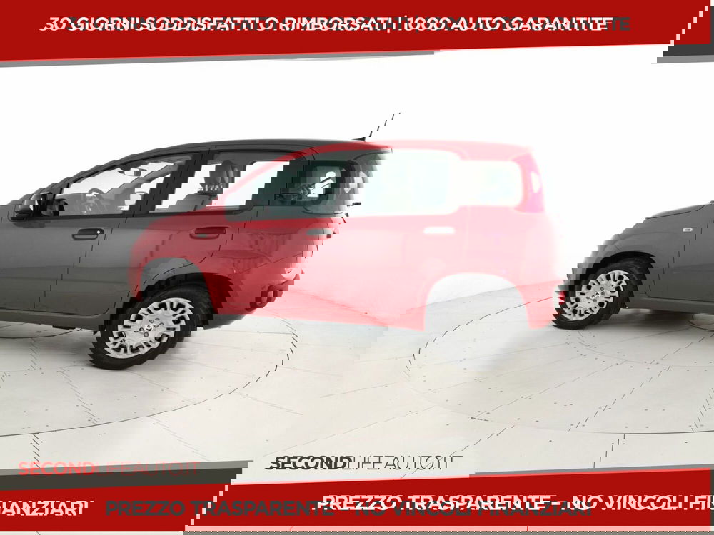 Fiat Panda nuova a Chieti (2)