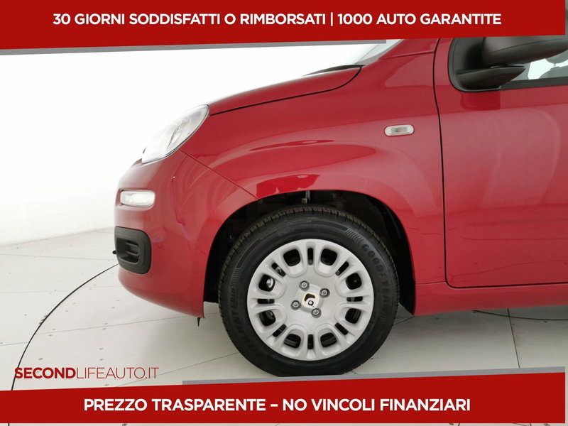 Fiat Panda nuova a Chieti (20)