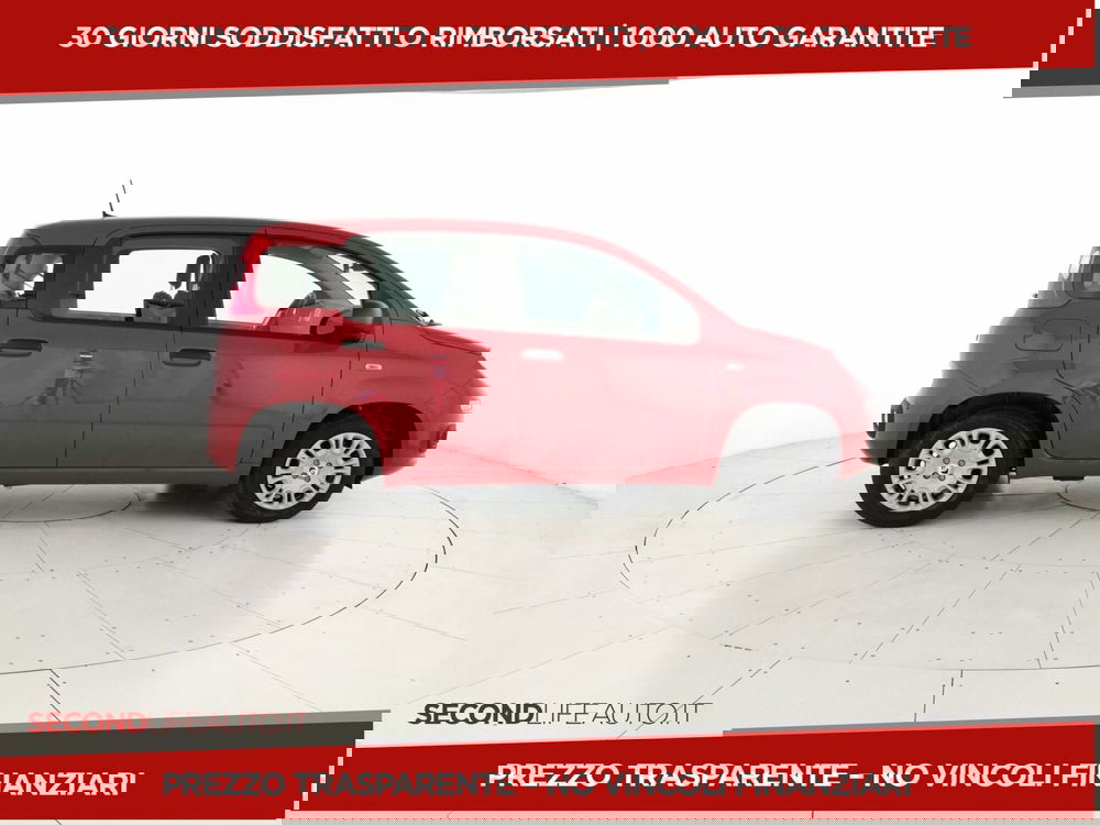 Fiat Panda nuova a Chieti (4)