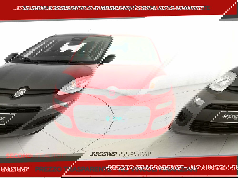 Fiat Panda nuova a Chieti (19)