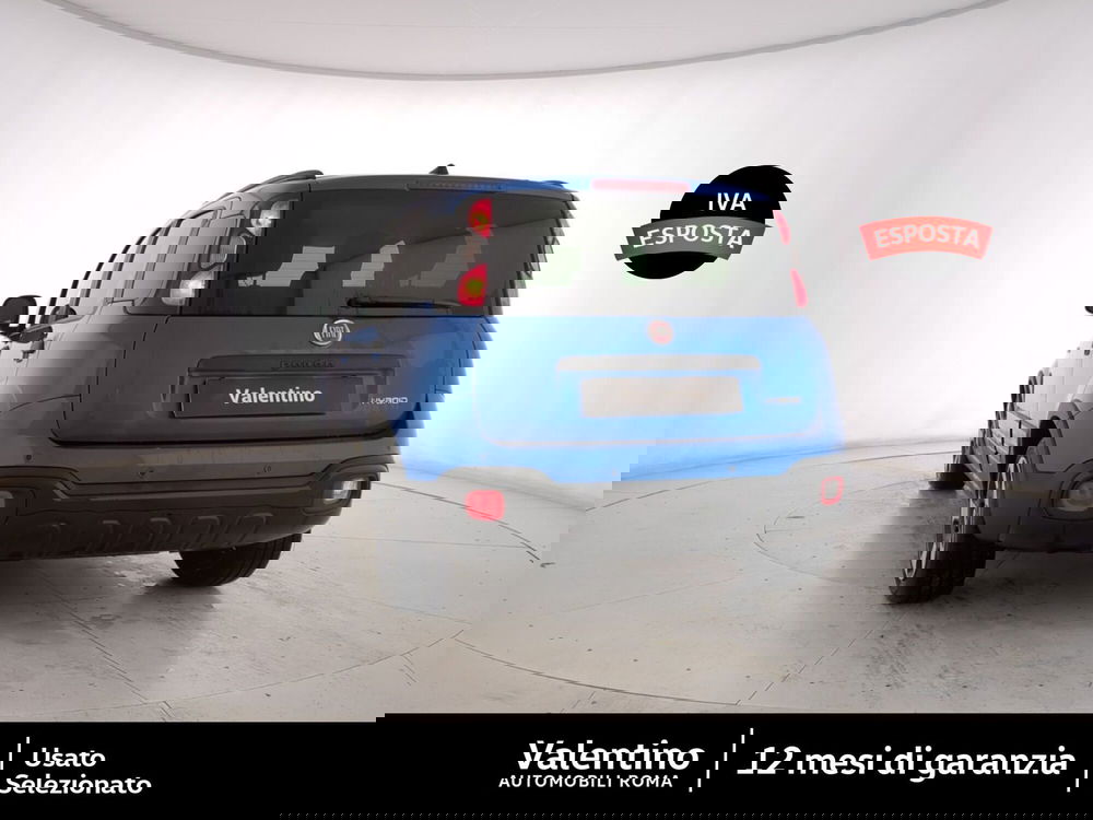 Fiat Panda Cross usata a Roma (5)