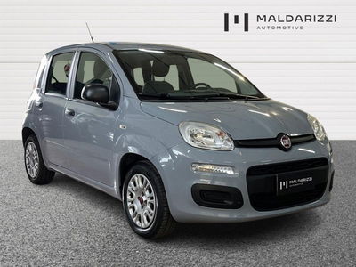 Fiat Panda 1.0 firefly hybrid s&amp;s 70cv 5p.ti del 2022 usata a Bari
