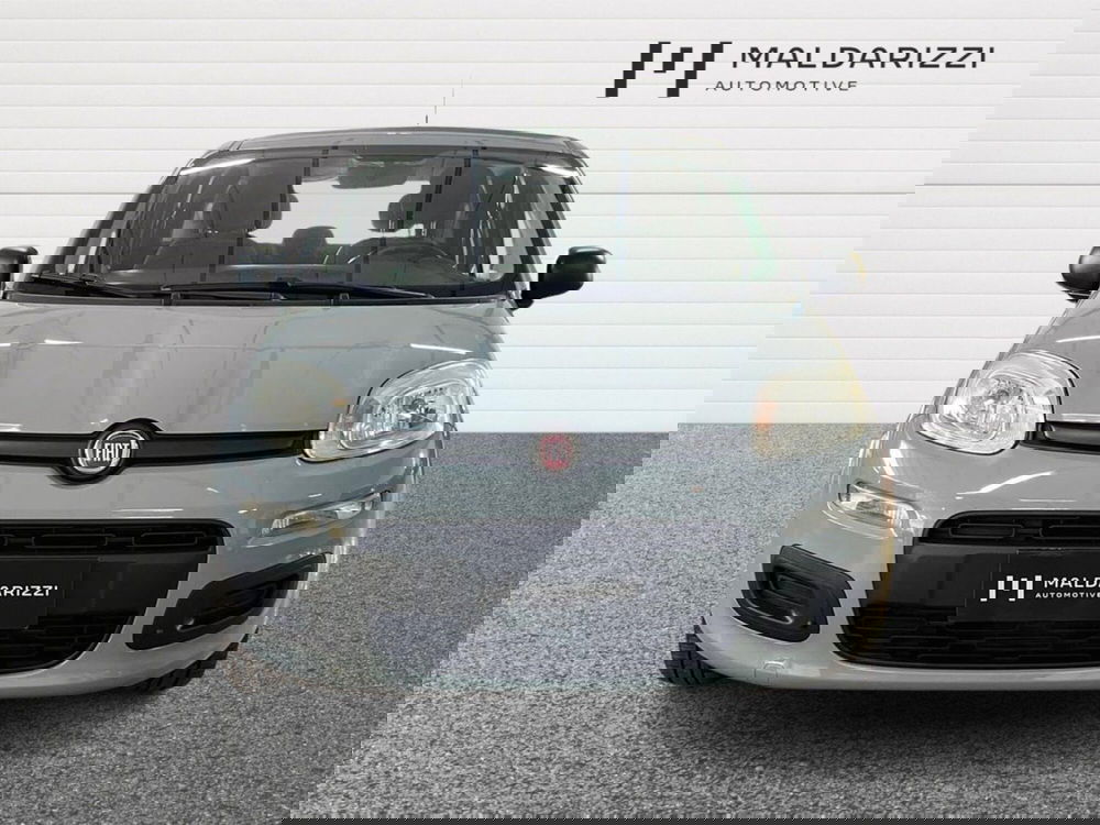 Fiat Panda usata a Bari (2)