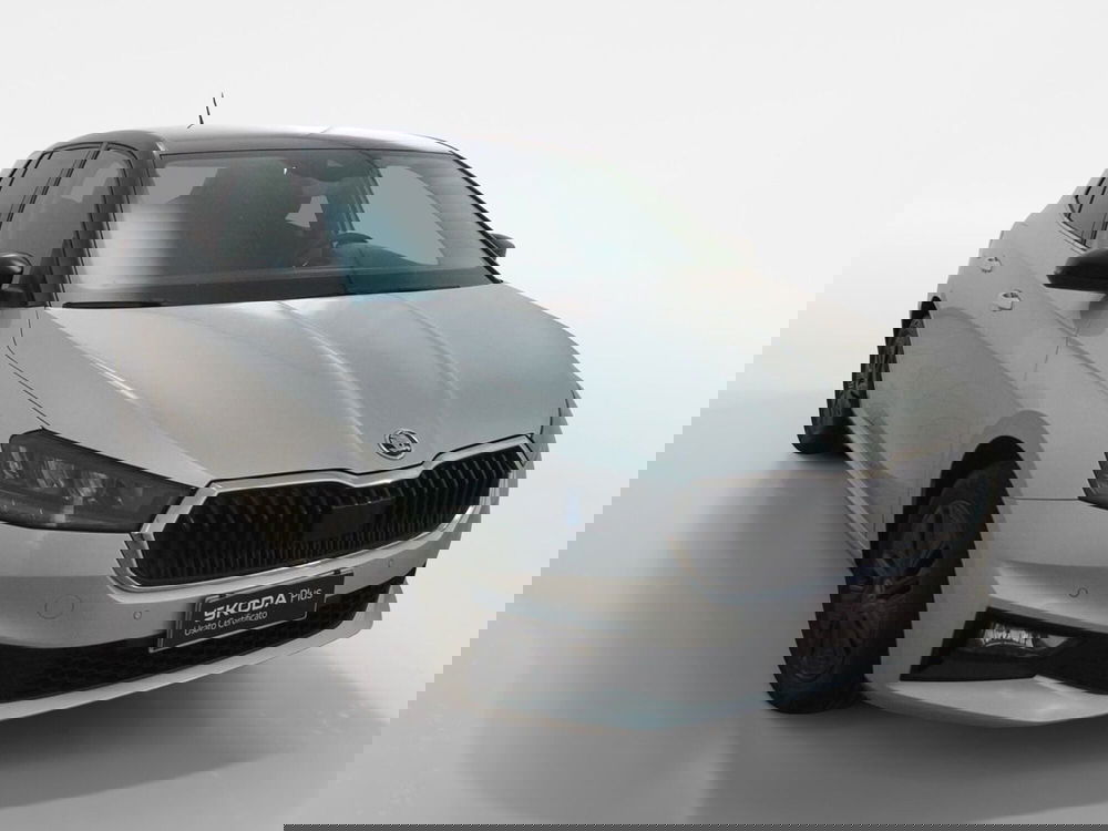 Skoda Fabia usata a Torino