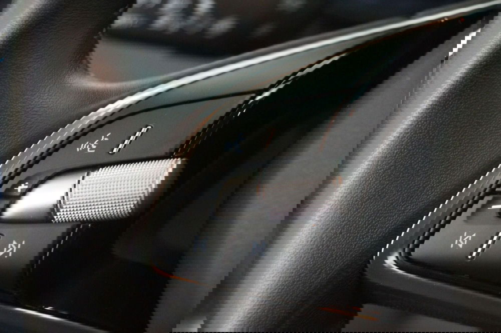 Skoda Fabia usata a Torino (13)