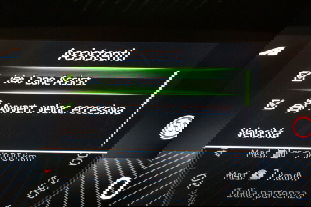 Skoda Fabia usata a Torino (15)