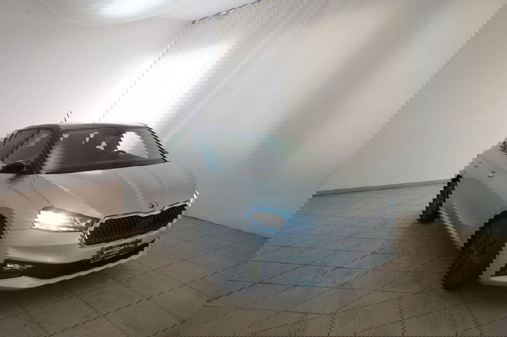 Skoda Fabia usata a Torino (20)