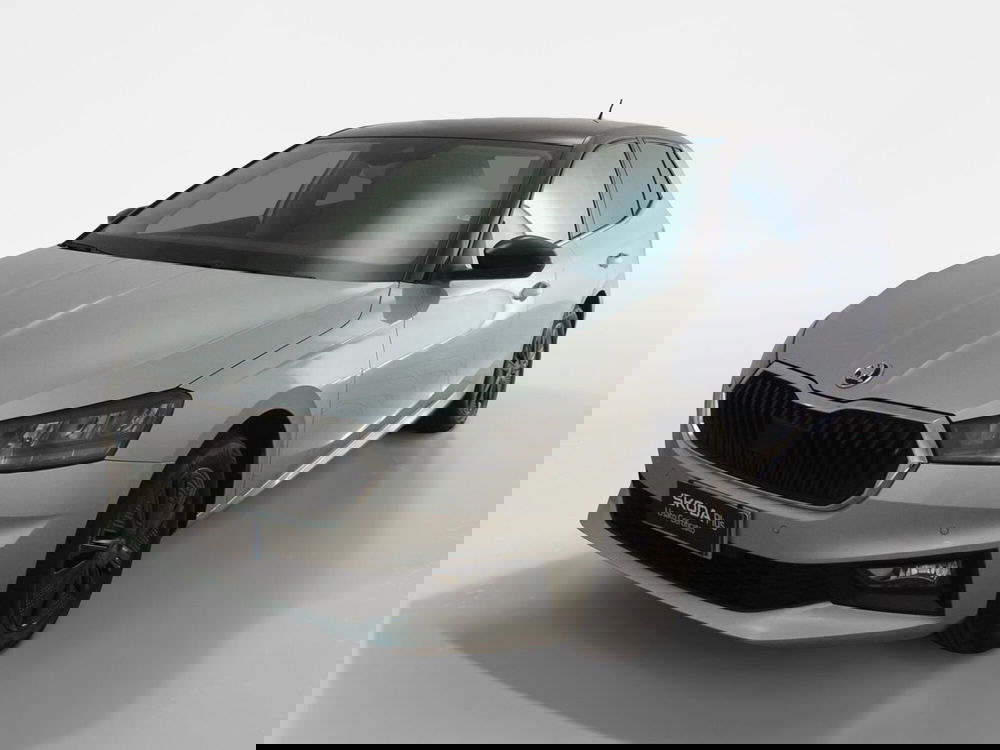 Skoda Fabia usata a Torino (3)