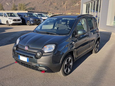 Fiat Panda Cross Cross 1.0 FireFly S&amp;S Hybrid del 2023 usata a Ponte nelle Alpi