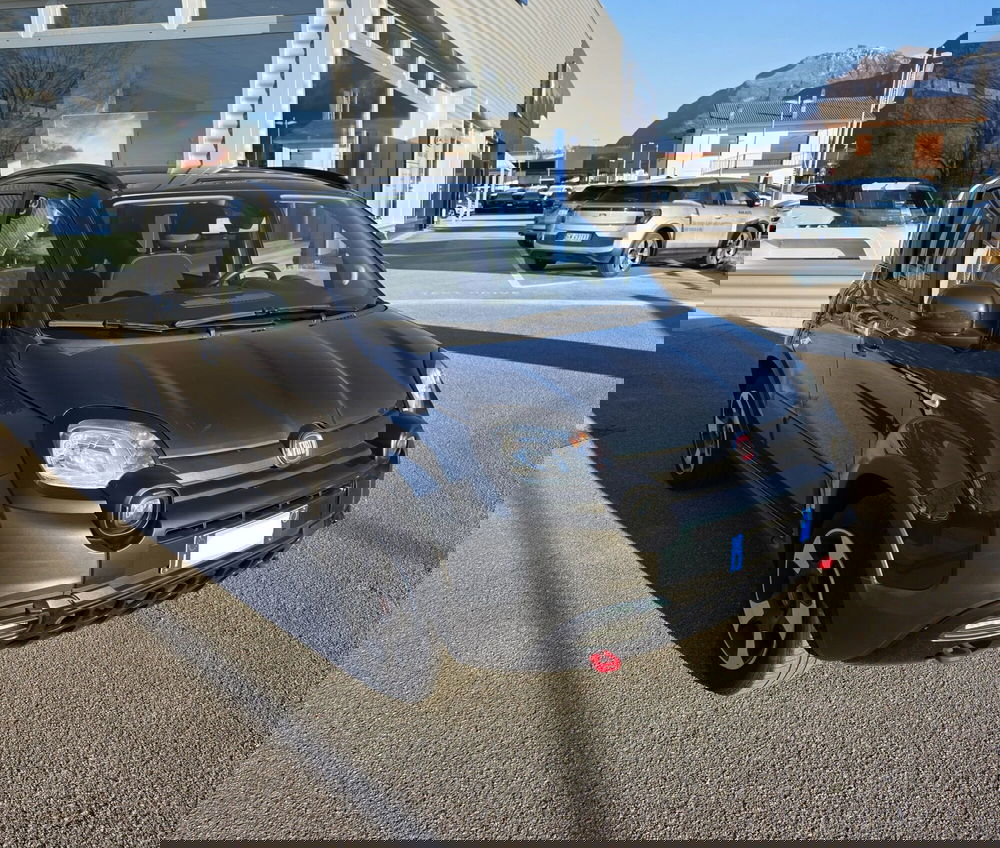 Fiat Panda Cross usata a Belluno (2)