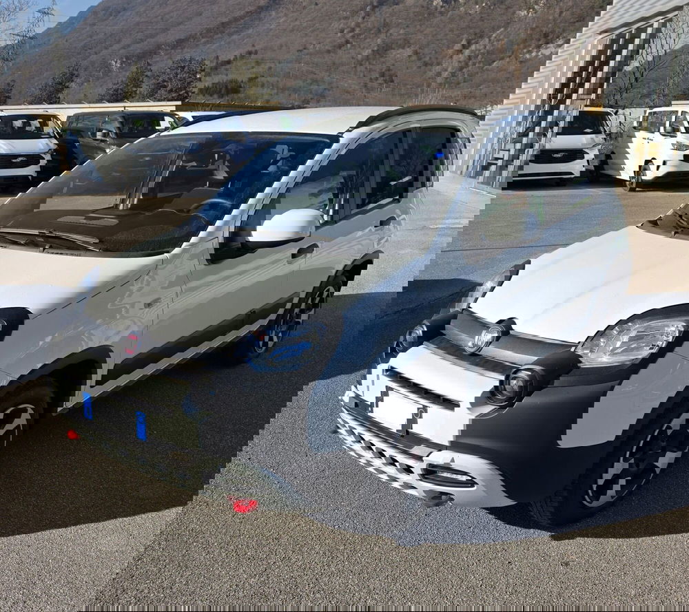 Fiat Panda Cross usata a Belluno