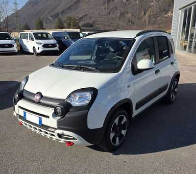 Fiat Panda Cross Cross 1.0 FireFly S&amp;S Hybrid del 2023 usata a Ponte nelle Alpi
