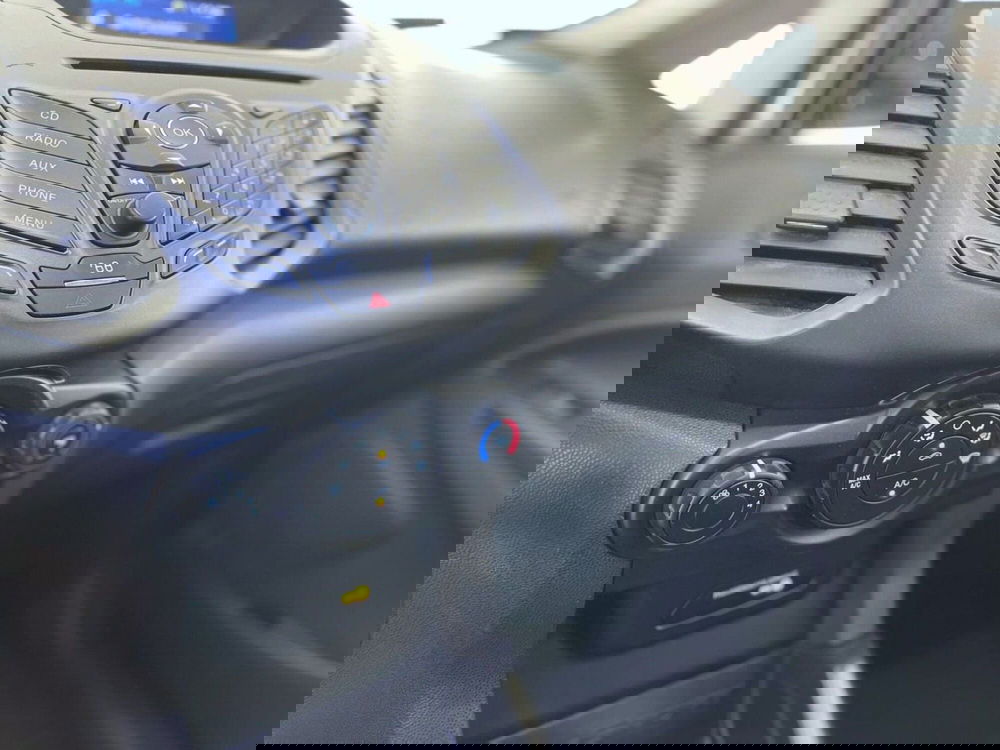 Ford EcoSport usata a Perugia (10)