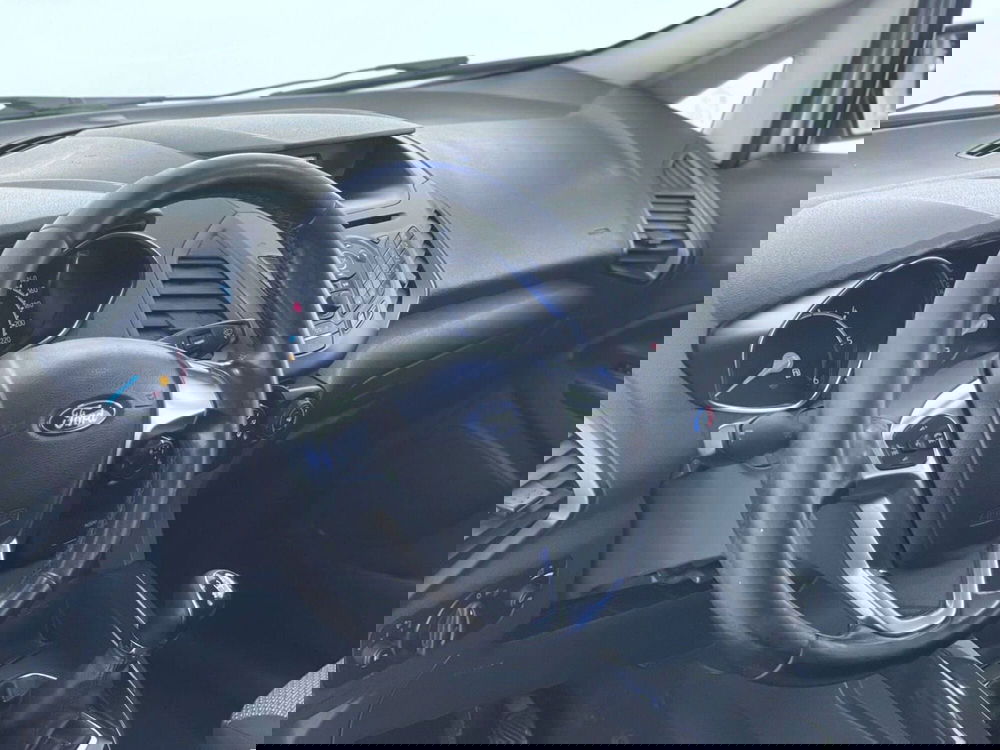 Ford EcoSport usata a Perugia (13)