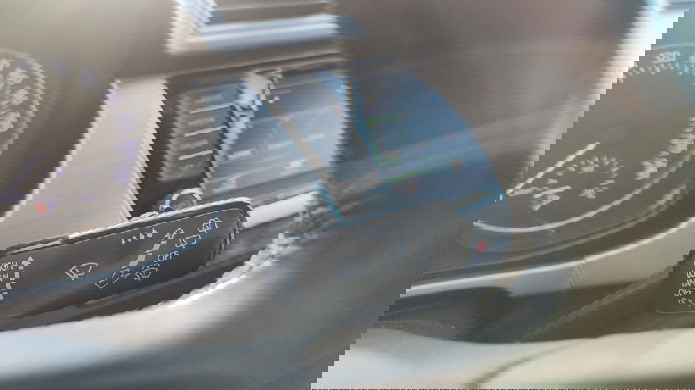 Skoda Fabia usata a Firenze (19)